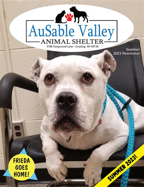 Ausable valley animal shelter. AuSable Valley Animal Shelter, Grayling, Michigan. 20,268 likes · 349,528 talking about this. AVAS is a private 501(c)(3) nonprofit organization. Our programs include: • No-kill shelter in Grayli 