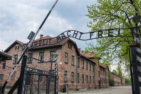 Read Auschwitz