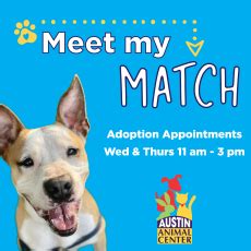 Austin Animal Center launches Meet My Match program