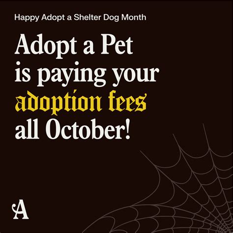 Austin Animal Center waiving pet adoption fees in October