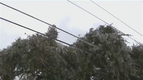 Austin City Council could vote to bury power lines after February storm