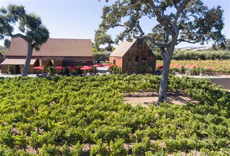 Austin Hope’s Cabernet Stands Among The World’s Best Wines - Forbes