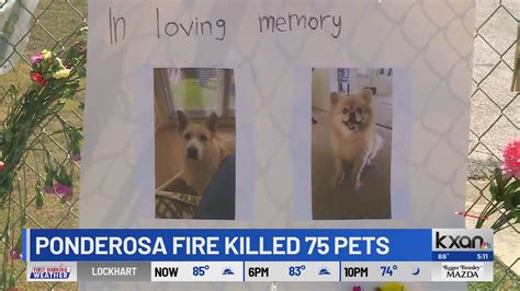 Austin joins list of Central Texas cities changing fire codes in response to Ponderosa Pet Resort fire
