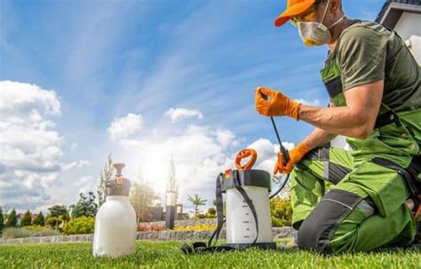 Austin pest control. With Real Green Pest Control, you can finally get rid of all the pests that bother and bite. One of our experienced exterminators will visit your home, assess the property, and determine the best course of action that can be taken, to provide you with a pest-free home. There are many things to consider when deciding how to treat … 