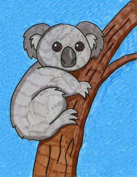 Australia Koala Drawing
