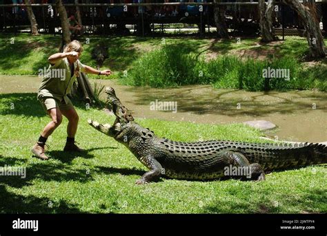 Australia Zoo: Home of The Crocodile Hunter - Steve Irwin with …