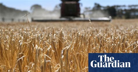 Australia strikes deal with China over barley trade dispute ...