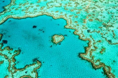 Australia welcomes lifting of UNESCO threat to list Great Barrier Reef as World Heritage in danger