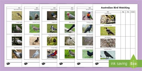 Australian Checklist « Birding-Aus