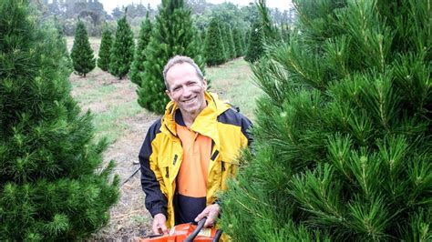 Australian Christmas a hodgepodge of traditions - Off Track - ABC