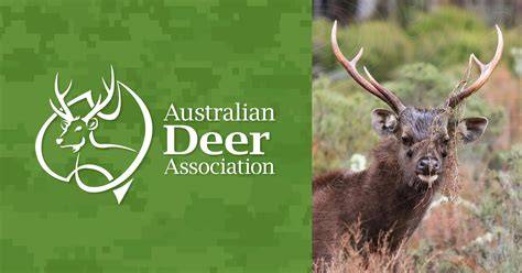 Australian deer association sydney.  We run a programme of events provid...