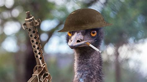 Australian emu war. Things To Know About Australian emu war. 