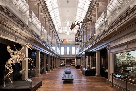 Australian museum. After a year of significant renovations, the nation’s first museum, Sydney's Australian Museum, is once again open to the public.The $57.5m renovation known ... 