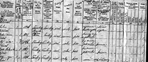 Austrian census 1900.  Variables and problems of data 4.  Procedure of carrying out and doc...