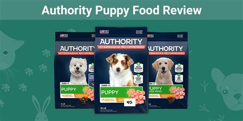 Authority Puppy Food Review 2024: Recalls, Pros & Cons