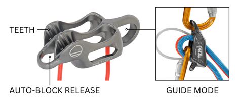Auto belay device.  The device enables a Auto belay devices represent a significant adva...