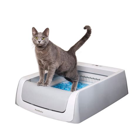 Auto clean kitty litter box. 2 Mar 2020 ... Keep your floors clean and never scoop kitty litter again with the Petsafe® Scoopfree® Self-Cleaning Litter Box. Learn more: On Petsafe®: ... 
