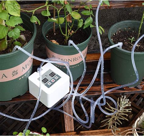 Auto watering system. Automatic Watering System for Potted Plants, Indoor Watering System for Plants, Automatic Drip Irrigation Kit with 30-Day Programmable Water Timer, LCD Display & Power Supply. 4.6 out of 5 stars. 82. 700+ bought in past month. $37.97 $ 37. 97. $3.00 coupon applied at checkout Save $3.00 with coupon. 
