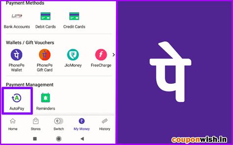 AutoPay on External Merchant Platforms - PhonePe