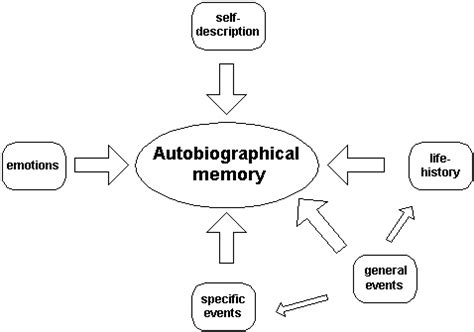 Autobiographical memory is a special form of _____ memory.. Things To Know About Autobiographical memory is a special form of _____ memory.. 