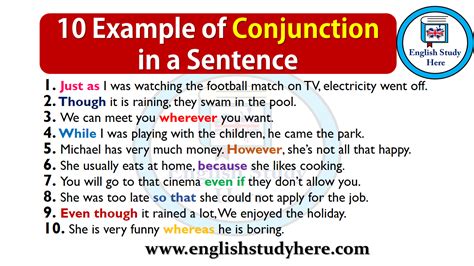 Autobiography example sentence for conjunction