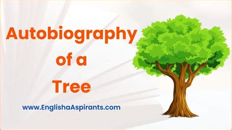 Autobiography of a tree in 100 words