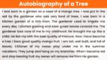 Autobiography of a tree in 150 words