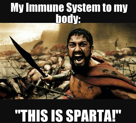 Images tagged "autoimmune". Make your own images with our Meme Generator or Animated GIF Maker. . 