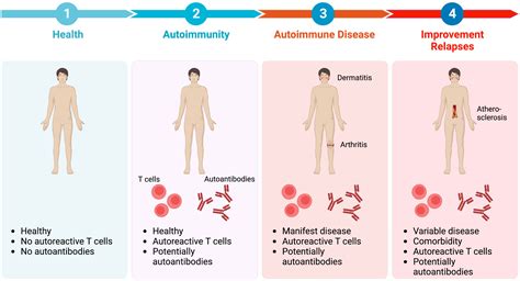 Autoimmune vasculitis types.  Autoimmune diseases happen when your immune sys...