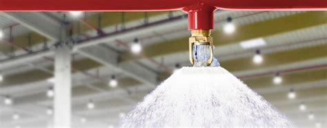 Automatic Sprinkler Protection