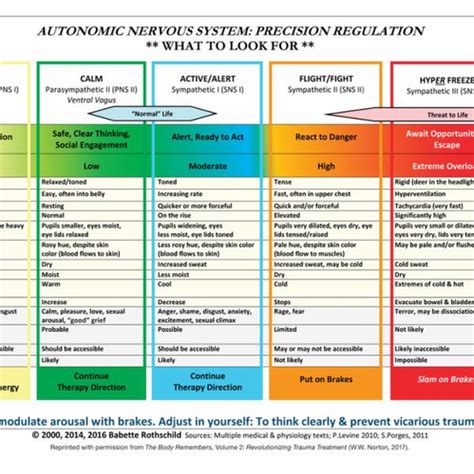Read Autonomic Nervous System Table Laminated Card By Babette Rothschild