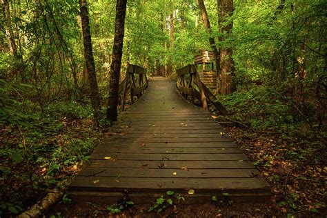 Autrey mill nature preserve. We still have plenty of spots left in Camp Discovery this Summer! Sign your children up online:... 