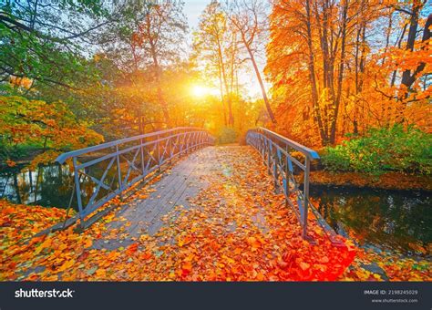 Autumn Fallu Onlyfans Leak
