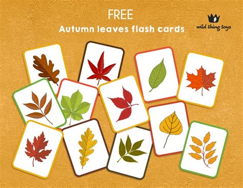 Autumn Flashcard Game