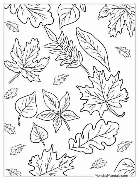 Wicked Coloring Pages Printable