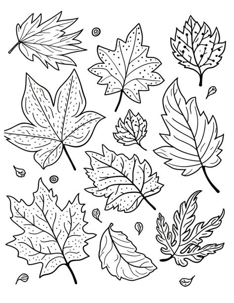 Autumn Leaves Coloring Pages Olga In The Kitchen