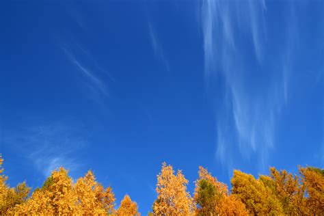 Autumn Sky Leaks [PPV] 🍌 23 Vids