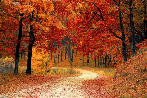 The start of autumn and the fall equinox are celebrated in cultures and religions around the world with various fall traditions, holidays, and festivals. Fall festivals: Mabon, Navaratri, and the Snake of Light. Fall Months. In the Northern Hemisphere, astronomical and meteorological autumn runs from September to December. 
