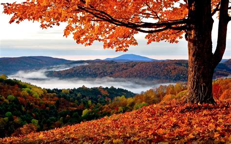 Autumn view. Here are the most beautiful places to witness glorious fall colors all around the world. Nara's historic buildings are surrounded by beautiful foliage in the fall months © John Su / Getty. See the golden red swash of … 