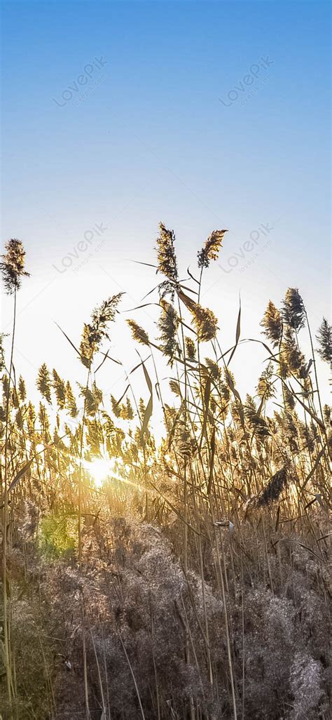 Autumnreed Onlyfans Leaked 😈 XxX