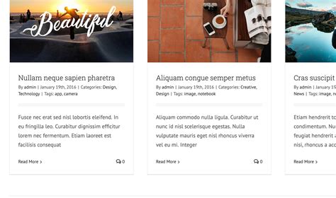 Avada image carousel with text. Blog How to &lsquo;loose leash walk&rsquo; your d...