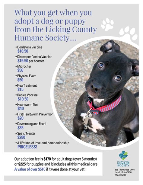 Available Dogs For Adoption - Licking County Humane Society