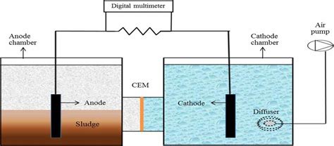Avaraeh (Former Mfc Model) Onlyfans Leaked XxX 184 Pics