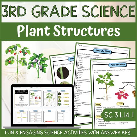 Aventa Learning Plant Structures Test Answer Key