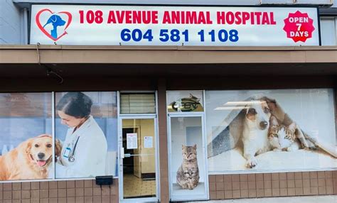 Avenue animal hospital. Avenue Animal Hospital, Saint John, New Brunswick. 24 likes · 3 talking about this. Providing families in Rothesay and Saint John with compassionate, high-quality veterinary care 