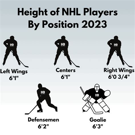 Average Height and Weight of Hockey Goalies (NHL 2024)