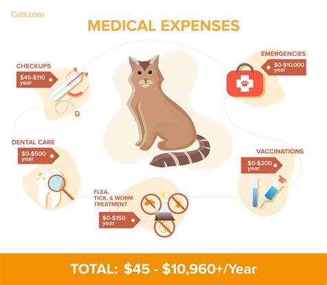 Average cost of vet visit for cat. A standard dog or cat vet check-up cost could sit around the $50–$100 mark, depending on your pet’s age and whether they have any health problems. Then you need to take into account the cost of regular vaccinations. According to the AVA research, the average cost of vaccinations will sit at around $80–$90 every year for an adult animal. 