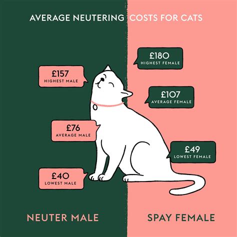 Average cost to spay a cat. Price Guide: Feral Cat Spay/Neuter $35 Ferals must be in a humane trap. Non-feral cats spay/neuter $50. Low cost for other type animals also available. Cash ... 