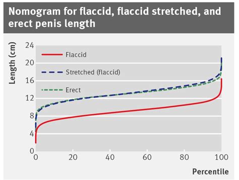 Average flaccid size. The results showed that the average erect penis length is usually between 5.1 and 5.5 inches, debunking many beliefs about larger penis sizes (you likely heard the average was “six inches” before, right?). Penis Girth. The same study above showed an average flaccid girth of just over 3.6 inches and an average erect girth close to 4.6 inches ... 