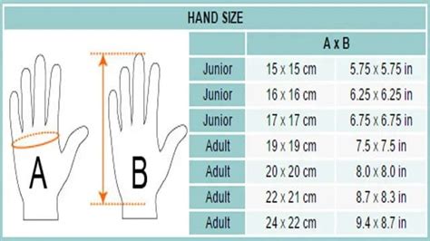 Average hand size by height.  Learn more.  We would like to show you a descripti...